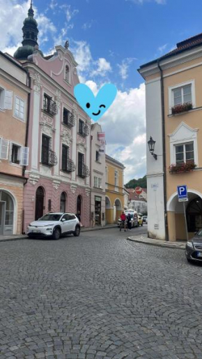 ZMRZLINOVÝ DOMEČEK (Ice cream housei)